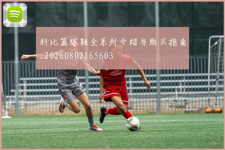 科比篮球鞋全系列介绍与购买指南_20260802165603