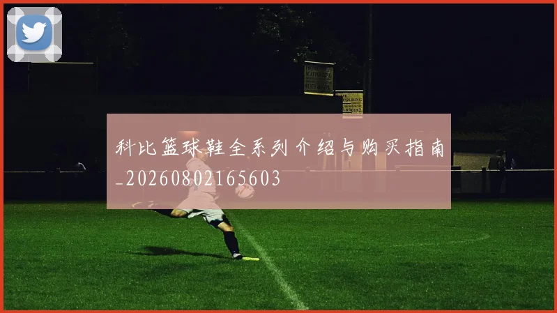科比篮球鞋全系列介绍与购买指南_20260802165603