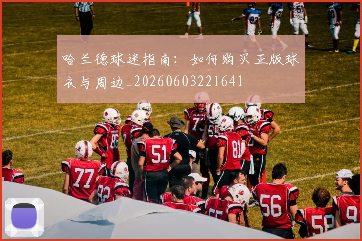 哈兰德球迷指南：如何购买正版球衣与周边_20260603221641
