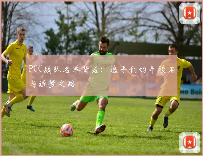 PGC战队名单背后：选手们的辛酸泪与逐梦之路
